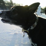 Snow Day