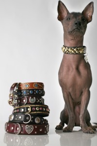 Bark_ad?_choice_C Choice C