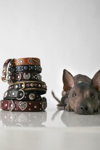 Bark_ad?_choice_A Choice A