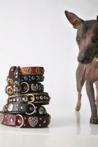 Bark_ad?_choice_B Choice B