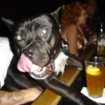 Beer Drinkin Lola