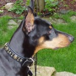 Brea in Anubis