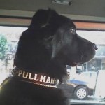 Handsome Pullman