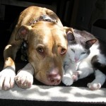 Lulu and Angus