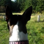 Memphis Lookin Hot