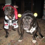 Paco and Lola Dress Up