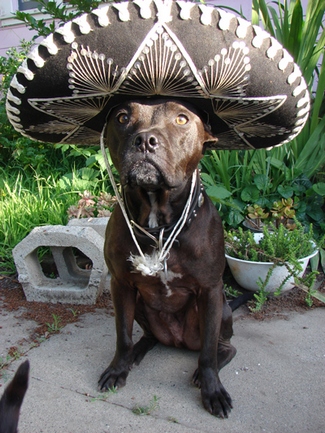 Paco