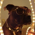 Rock Star Paco