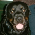 Seths Big Ol' Head