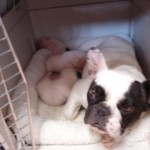 Tired Mama Bertha