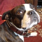 Walter
