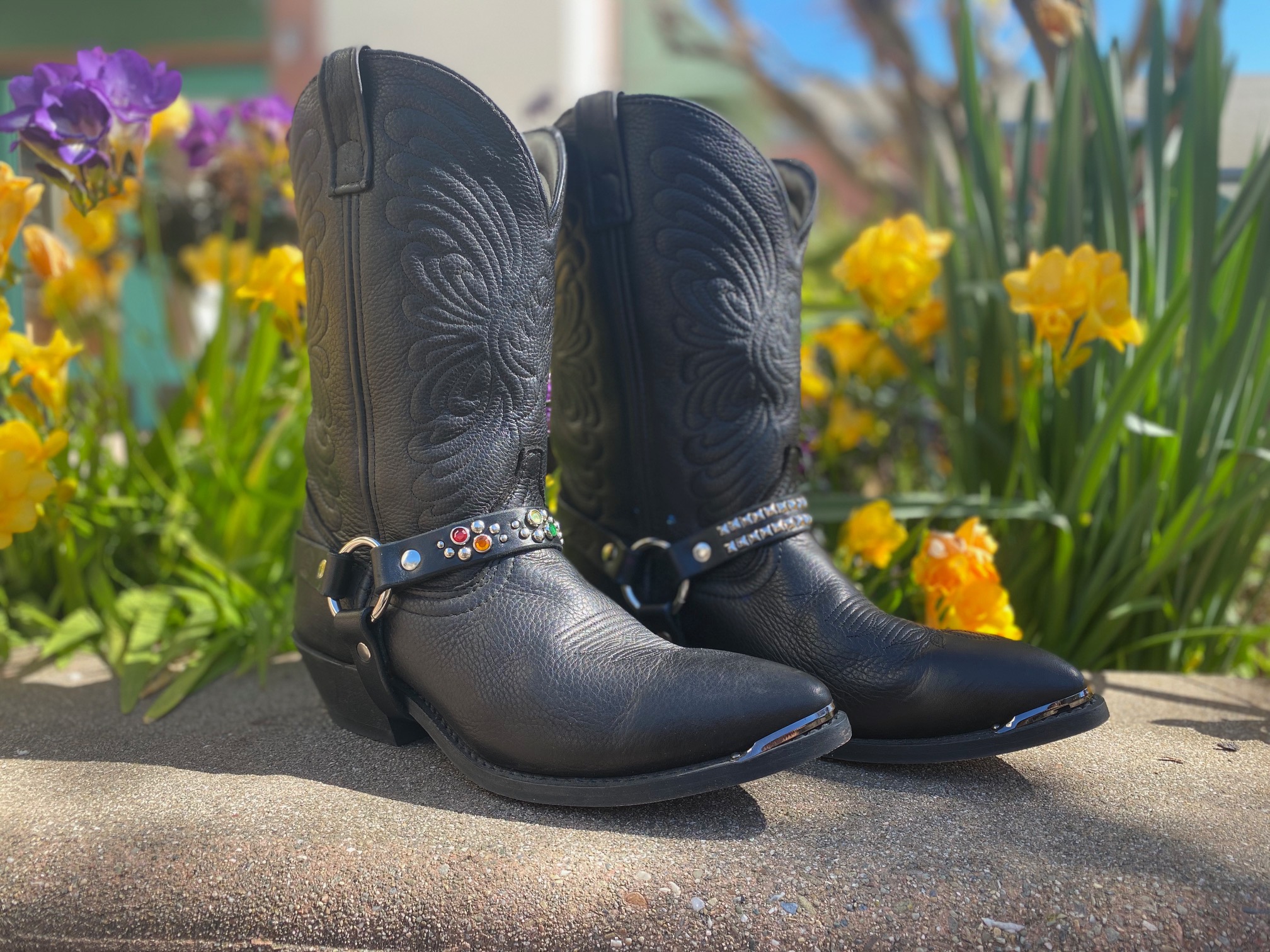 Boot Straps Paco Collars Custom Leather Dog Collars